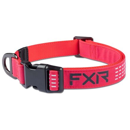 FXR Dog Collar